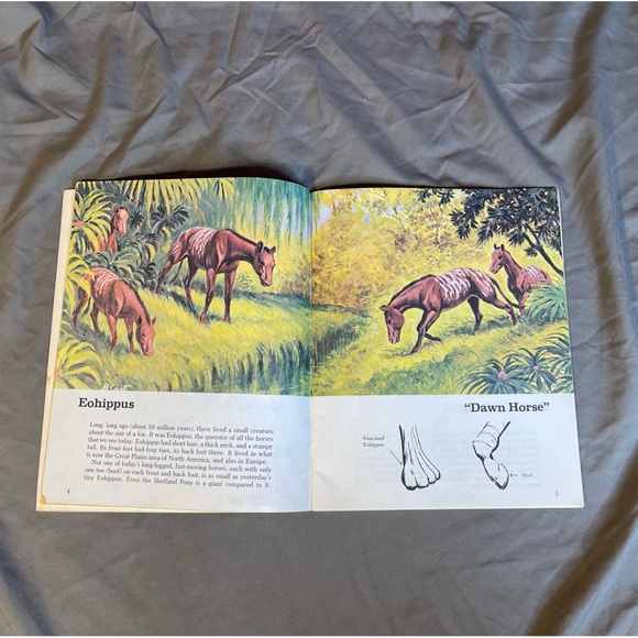 Vintage 1978 Super Book Of Horses by Kathleen Daly Soft Cover - Picture 4 of 9